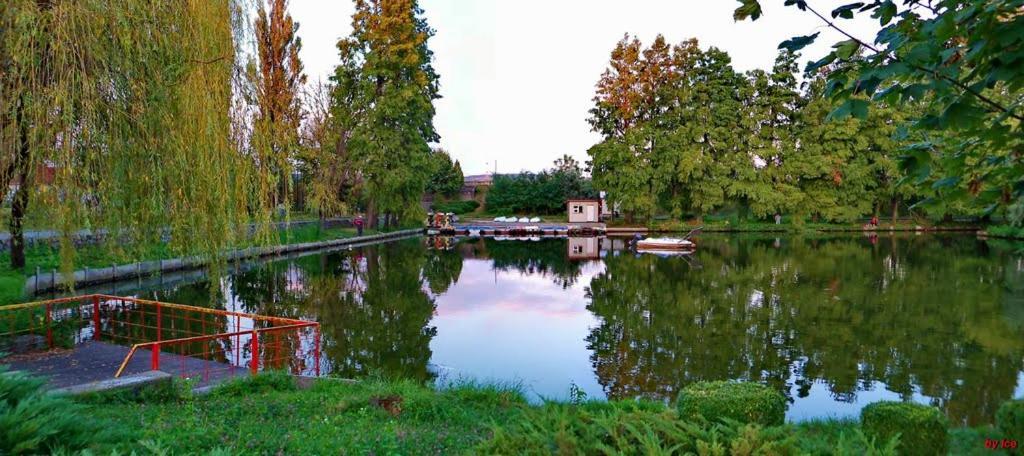 Friend'S House Apartment Pitesti Exterior photo